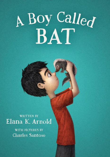 A Boy Called Bat Series