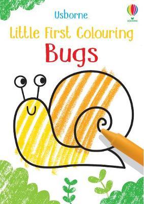 Usborne Little First Colouring: Bugs - Paperback