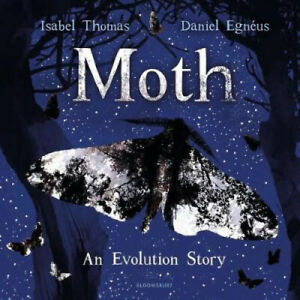 Moth - Paperback