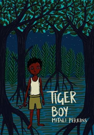 Tiger Boy - Paperback
