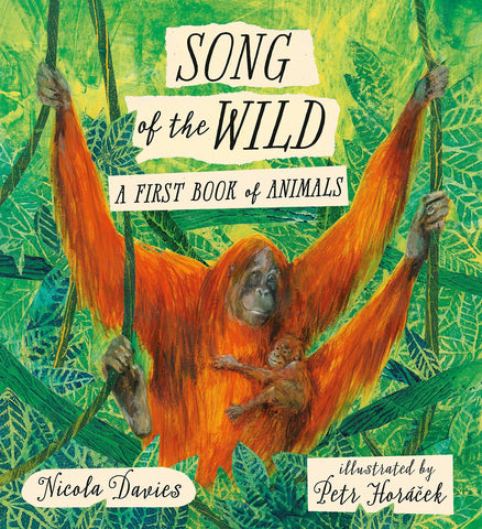 Song of the Wild : A First Book of Animals - Hardback