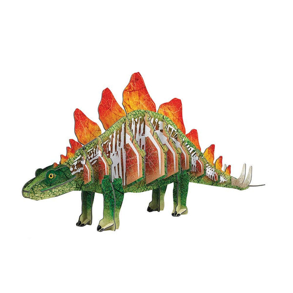 3D Stegosauras (3D Model) - Box