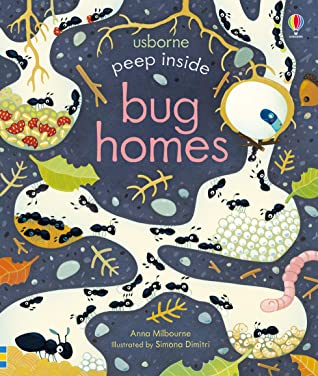 Usborne Peep Inside Bug Homes - Hardback