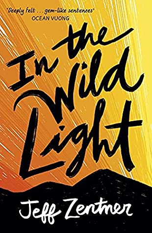 In the Wild Light - Paperback