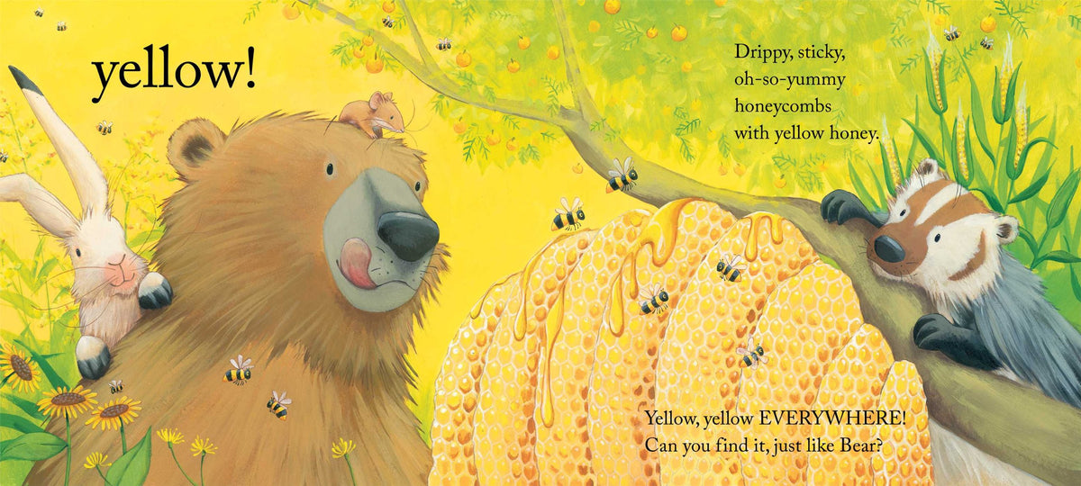 Bear Sees Colors Board Book