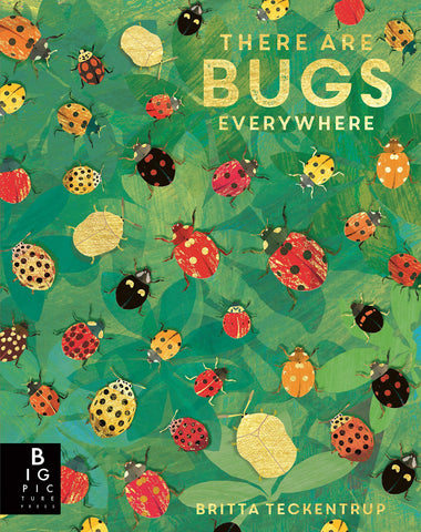 There are Bugs Everywhere - Hardback