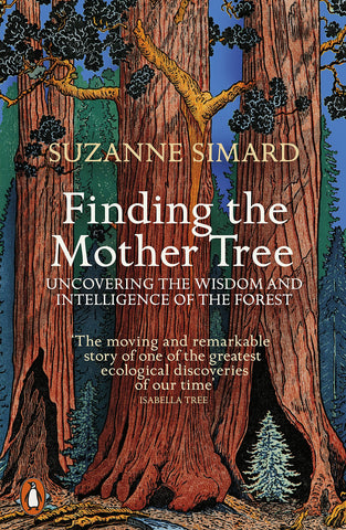 Finding the Mother Tree - Paperback