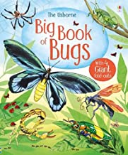 Usborne : Big Book of Big Bugs - Kool Skool The Bookstore