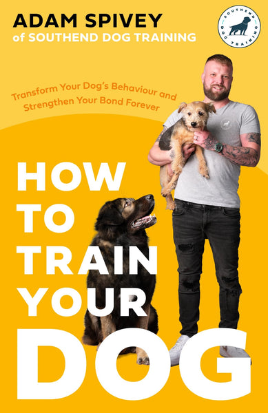 How To Train Your Dog - Paperback