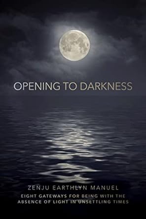 Opening To Darkness - Paperback
