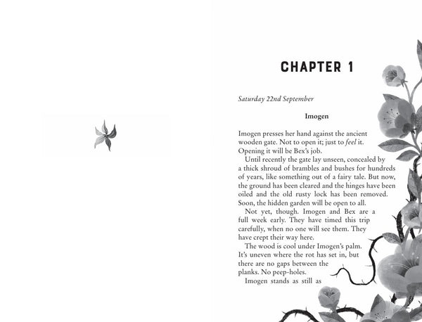 The Strange Disappearance of Imogen Good - Paperback