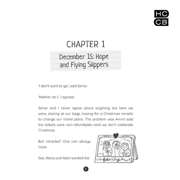 Rizvi Family Winter - Paperback