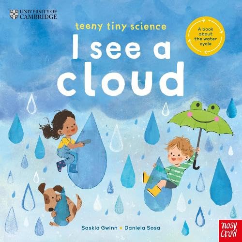 Teeny Tiny Science : I See a Cloud: A book about the water cycle - Board book