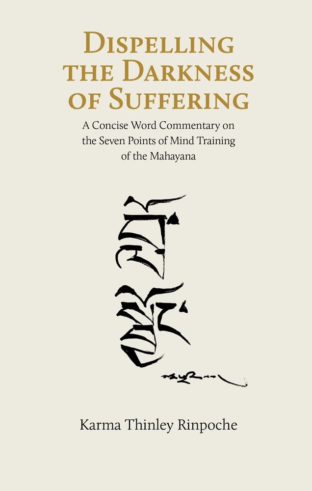 Dispelling the Darkness of Suffering : A Concise Word Commentary on th