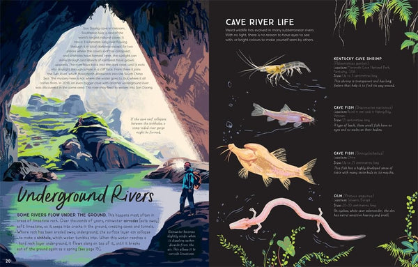 Rivers: An incredible journey from source to sea - Hardback