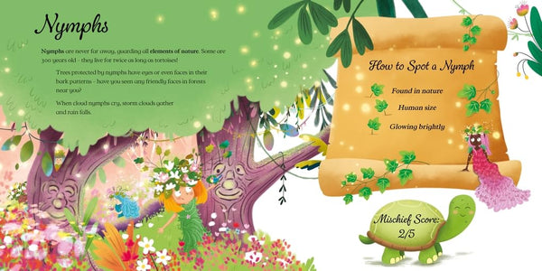 My Book of Fairies : A Beginner's Guide - Paperback