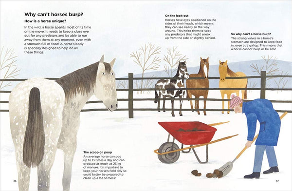 Why can't horses burp? : Towards an Architecture of Belonging - Hardback