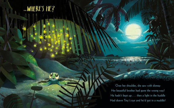 The Turtle Who Turned the Tide - Hardback