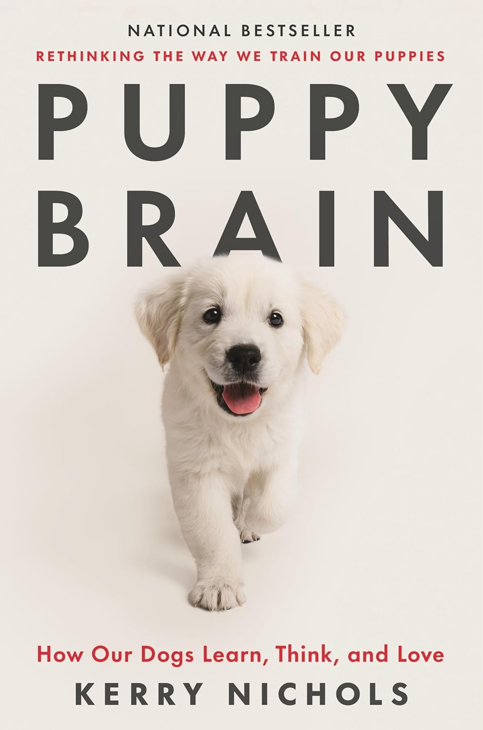 Puppy Brain : How Our Dogs Learn, Think, and Love - Paperback