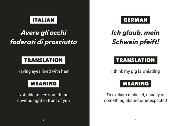 The Little Book of Funny Foreign Phrases - Paperback