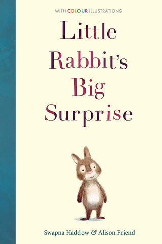 Little Rabbit`S Big Surprise - Paperback