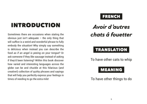 The Little Book of Funny Foreign Phrases - Paperback