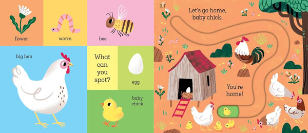 Let's Go Home, Baby Chick - Board book