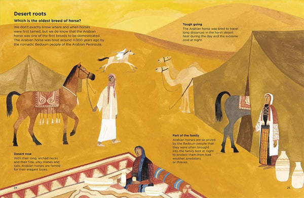 Why can't horses burp? : Towards an Architecture of Belonging - Hardback