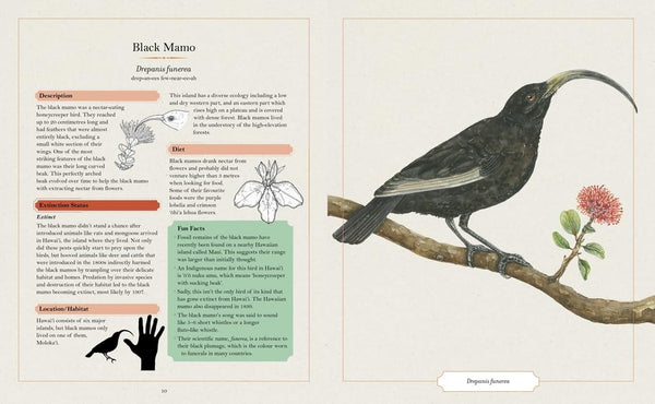 The Illustrated Encyclopaedia of Extinct Animals - Hardback