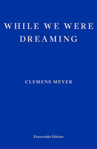 While We Were Dreaming - Paperback