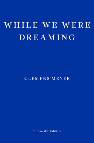 While We Were Dreaming - Paperback
