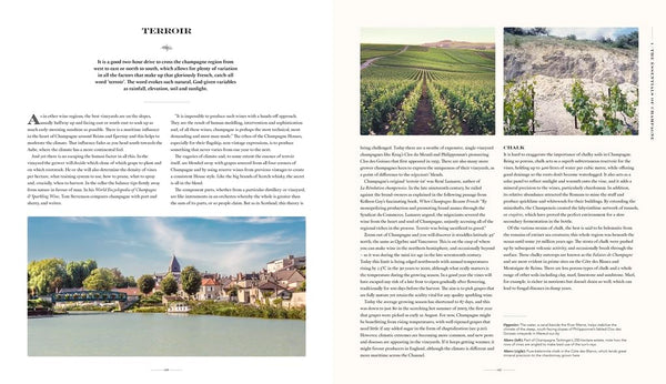 The Story of Champagne : The Ultimate Guide to the World's Most Famous Sparkling Wine - Hardback