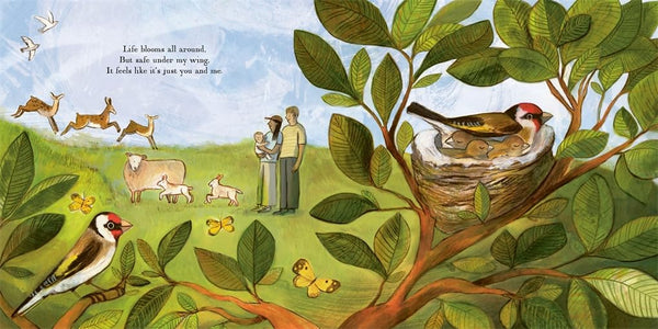 A Home is a Nest - Hardback