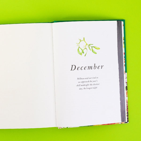 Homecoming - Hardback