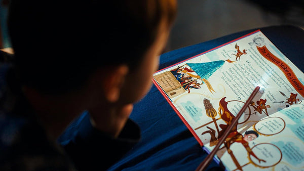 Harry Potter - Hardback