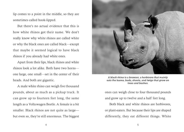 Save The... Rhinoceroses - Paperback