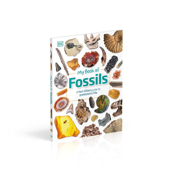 My Book of Fossils - Hardback
