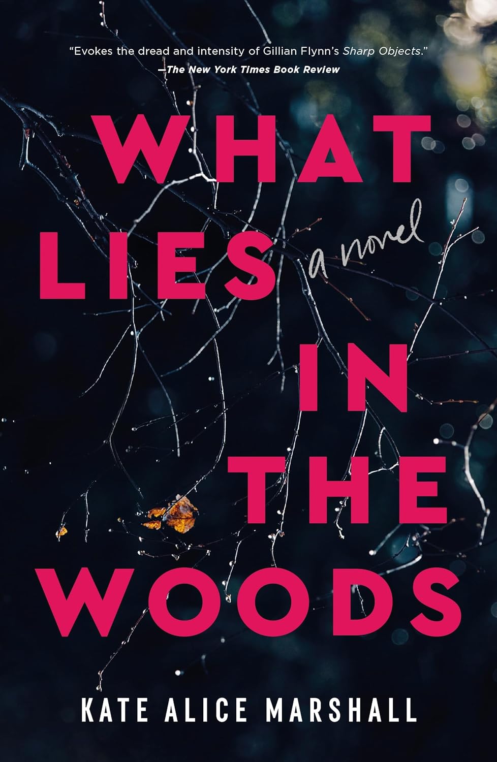 What Lies in the Woods - Paperback