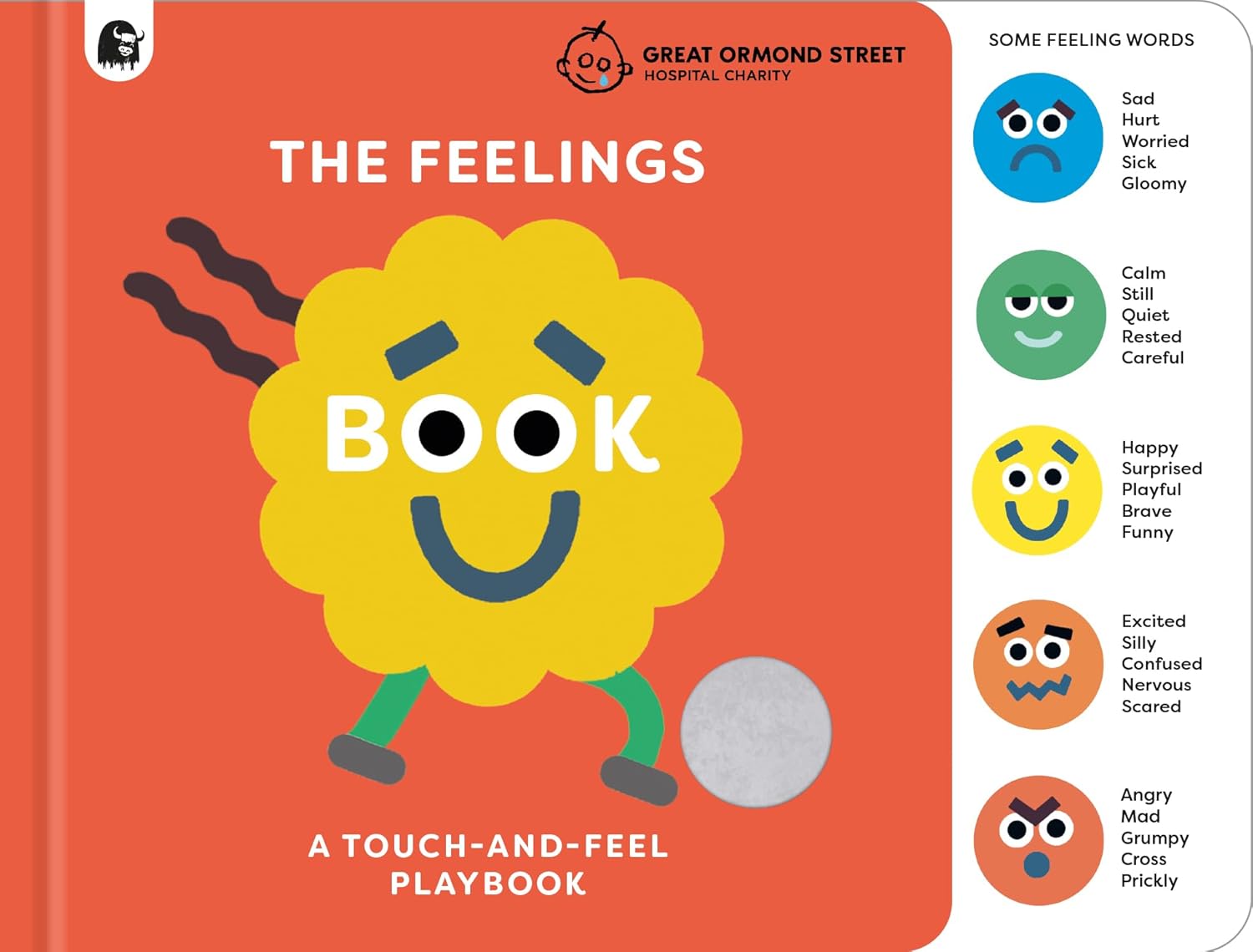 The Feelings Book - Board Book