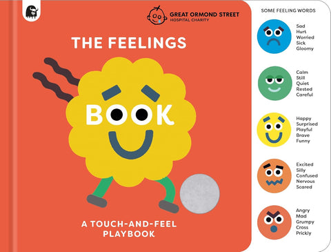 The Feelings Book - Board Book