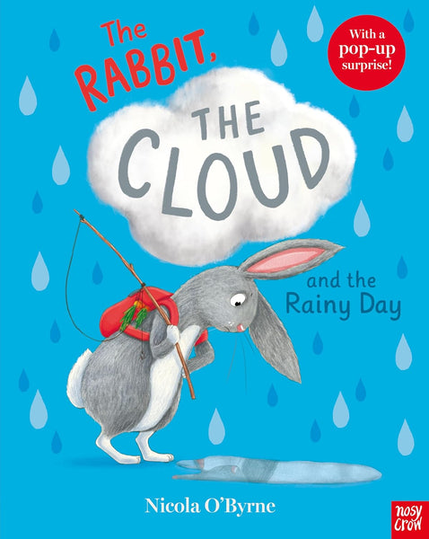 The Rabbit the Cloud and the Rainy Day - Paperback