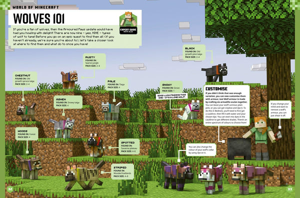 Minecraft Annual 2026 - Hardback