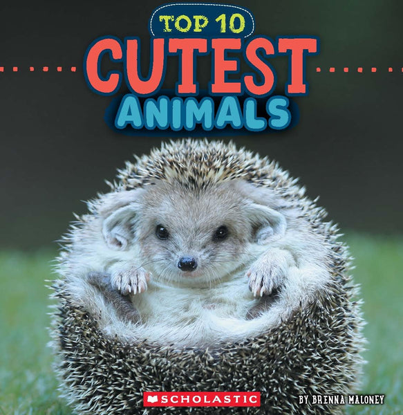 Cutest Animals - Paperback