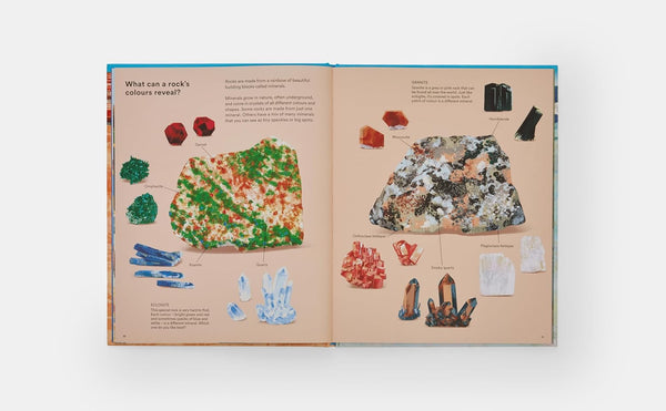 What a Rock Can Reveal - Paperback