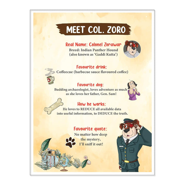 Detective Col. Zoro Book 6 : The Petha and the missing Brigadier - Paperback