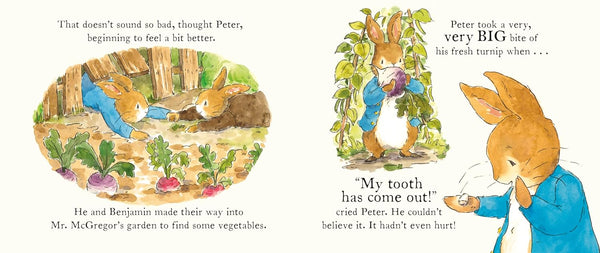 Peter Rabbit Tales  The Tooth Fairy - Board book