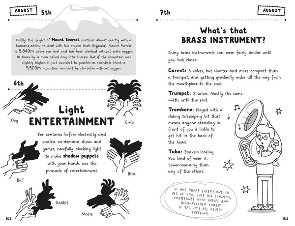 Become a Genius in a Year - Paperback