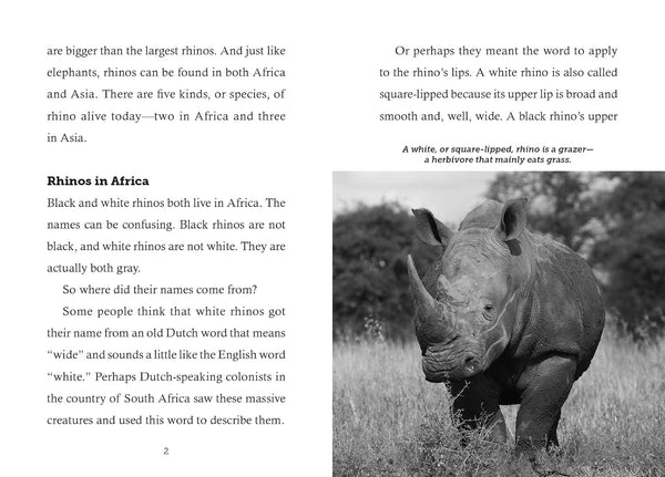 Save The... Rhinoceroses - Paperback