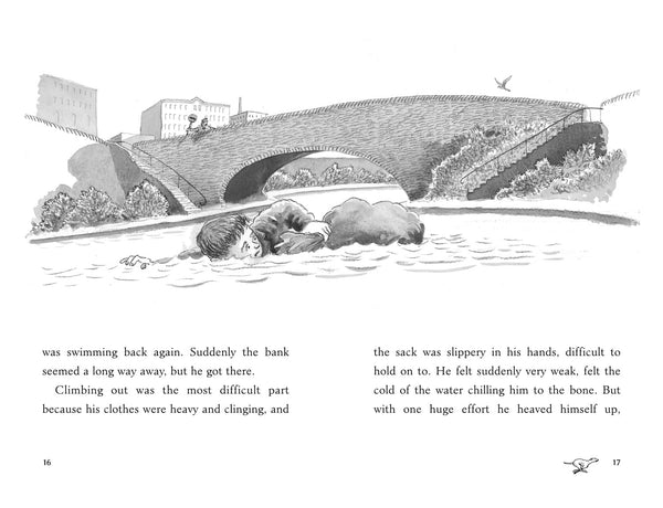 Born to Run - Paperback