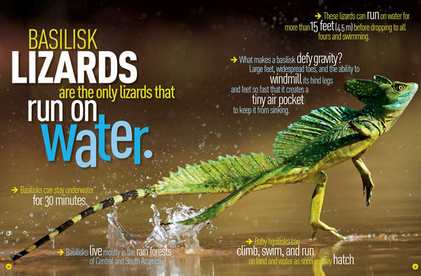 National Geographic Kids : Ultimate Weird but True! - Hardback